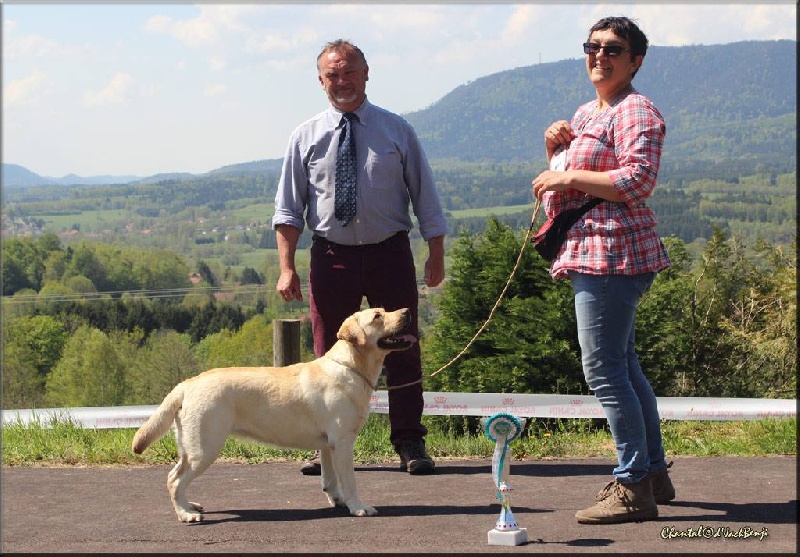 La petite pen de la Foret de Presles